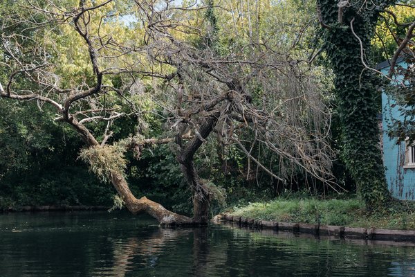 Enhancing Stability and Fall Prevention in Seniors: The Impact of Mind-Body Practices like Tai Chi